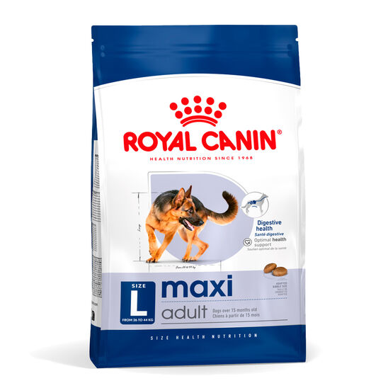 �ξ�ĳ�� ��������� �ƽ� ���Ʈ 10kg