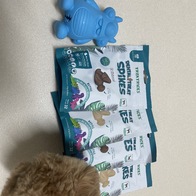 Į�� ���ؽ� �峭�� ����Ƽ 1�� �����߼� �̿� �ı�