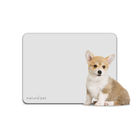 ����ó�� ������ �Ǹ��� �躯�� ǥ���� �׷��� ����